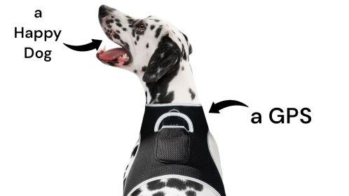 Realtime App Wireless Pet Security GSM GPS Dog Tracking Collars Device Size:XXL