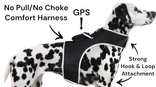 Pet Tracker GSM Locator Cat/Dog Animarl Protection Security Tracking Size:XXL