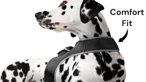 Pet Tracker GPS Tracking Collars for Dogs Waterproof Security Surveillance Size:XXL