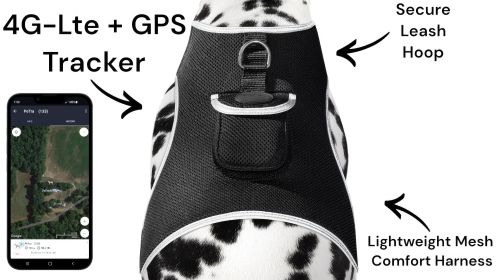Mini Pet Tracking Collar Wireless Surveillance Security for Cats Dogs Size:XXL