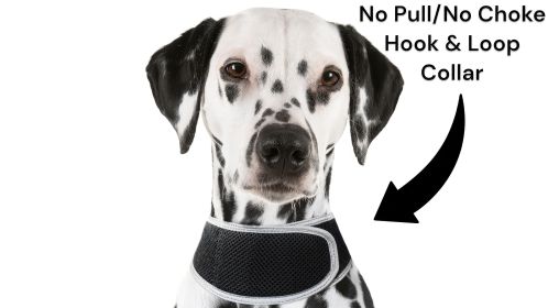 Inexpensive Dog Security Surveillance Pocket GPS Pets Tracking Device Size:XXL