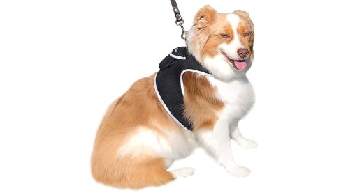 Waterproof Security GPS Dog Collar Realtime Wireless Mini Pet Locator Size:XXL