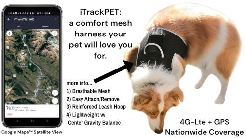 Waterproof Realtime Security Pocket GSM Pet Tracker GPS for Dog w/ App Size:XXL